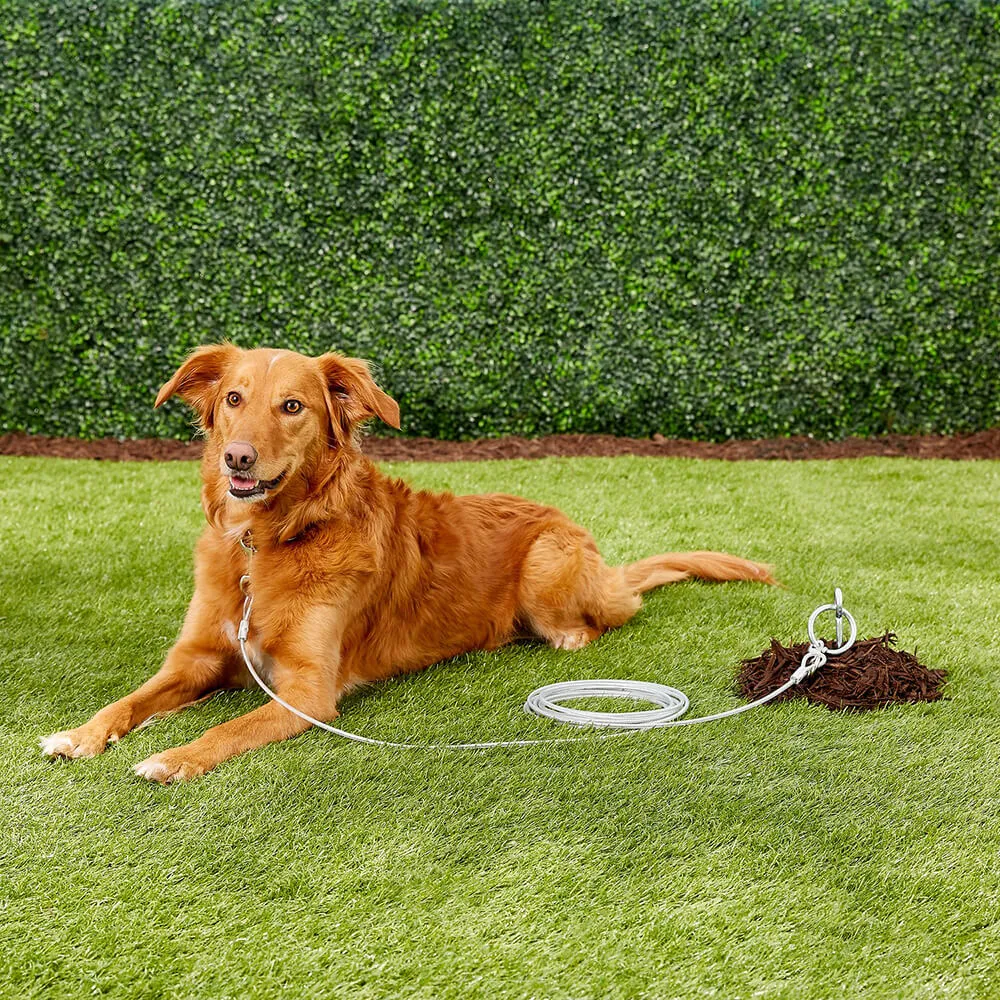 Aspen Pet Dog Tieout 30ft