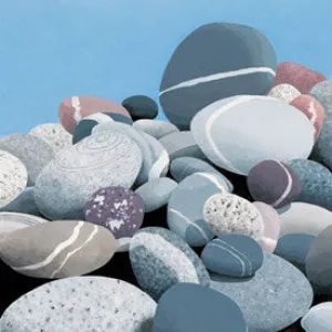 Beach Stones
