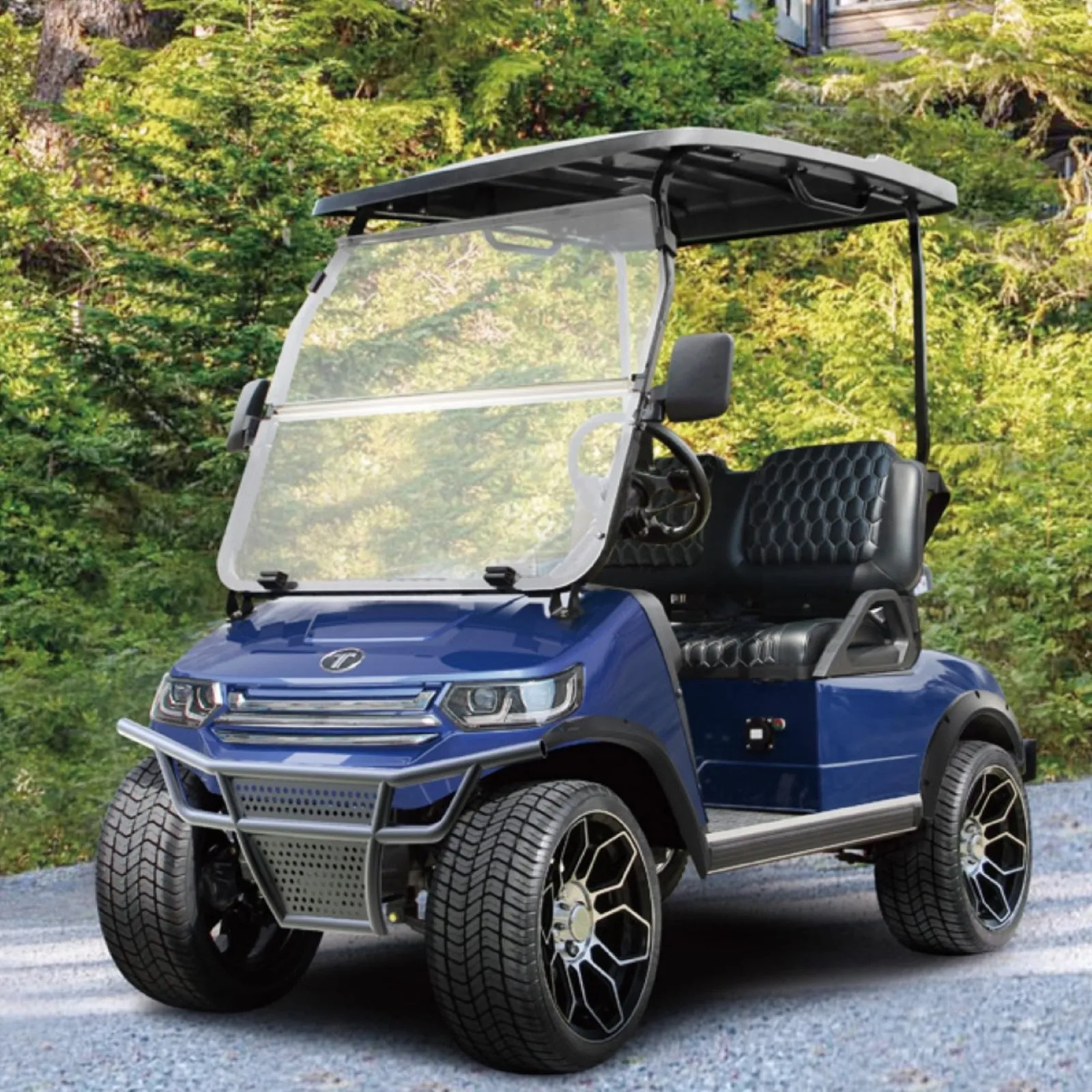 Evoquer Lithium Battery 2 Seats Electric Golf Cart