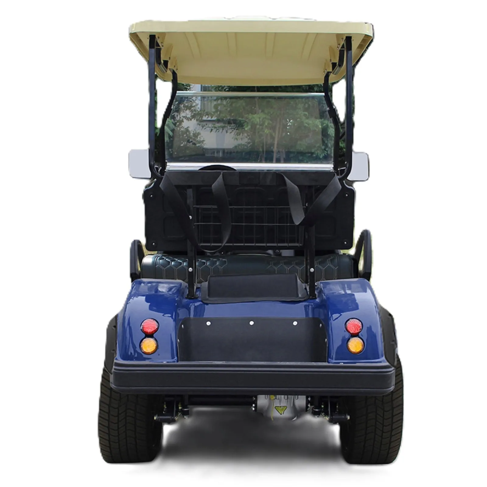 Evoquer Lithium Battery 2 Seats Electric Golf Cart
