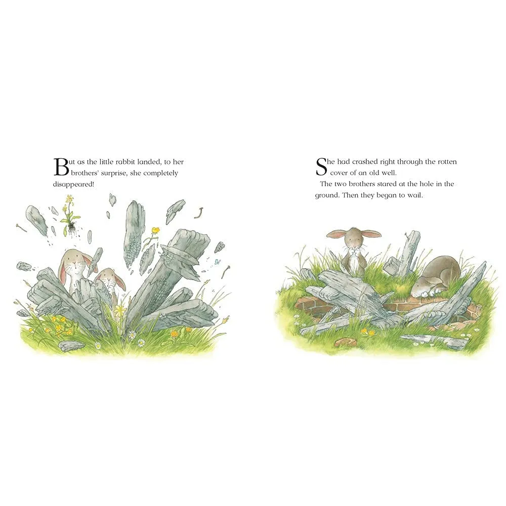 Harper Collins: The Rescue Party (A Percy the Park Keeper Story) (Paperback Book)