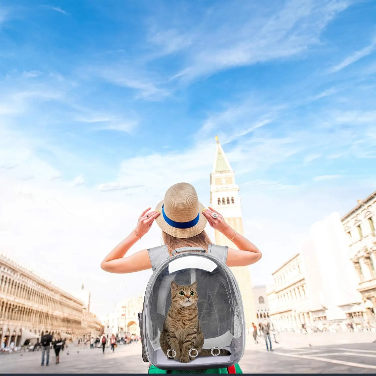 Henkelion Space Capsule Pet Backpack Carrier for Small to Medium Dogs and Cats, Airline Approved Hiking Bag - Grey