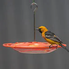 HG850074D Bird Feeder Oriole Fruit Orange 16oz