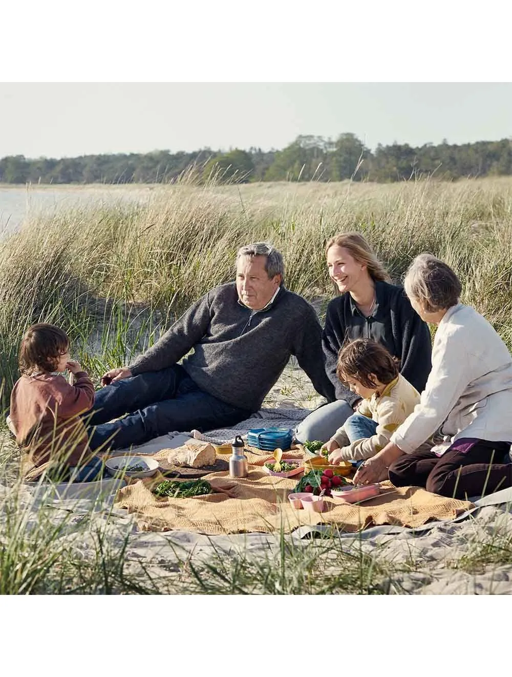 Light My Fire Picnic for 4