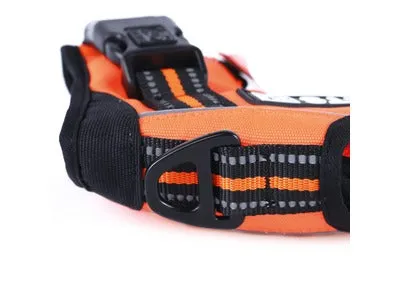 M-Pets Hiking Harness in Triangle Shape for Dog, Orange and Black