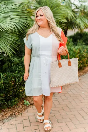 Party By The Pool Striped Dress- Multi-Color