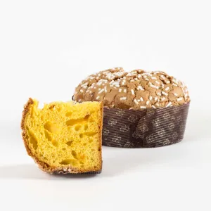 “PIC NIC” Apricot