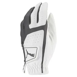 Puma Golf Male 2018 Men's Flexlite Golf Glove 2018 Flex Lite Glove (Men's, Left Hand, Large, White/Quiet Shade), Bright White-Quiet Shade, Large