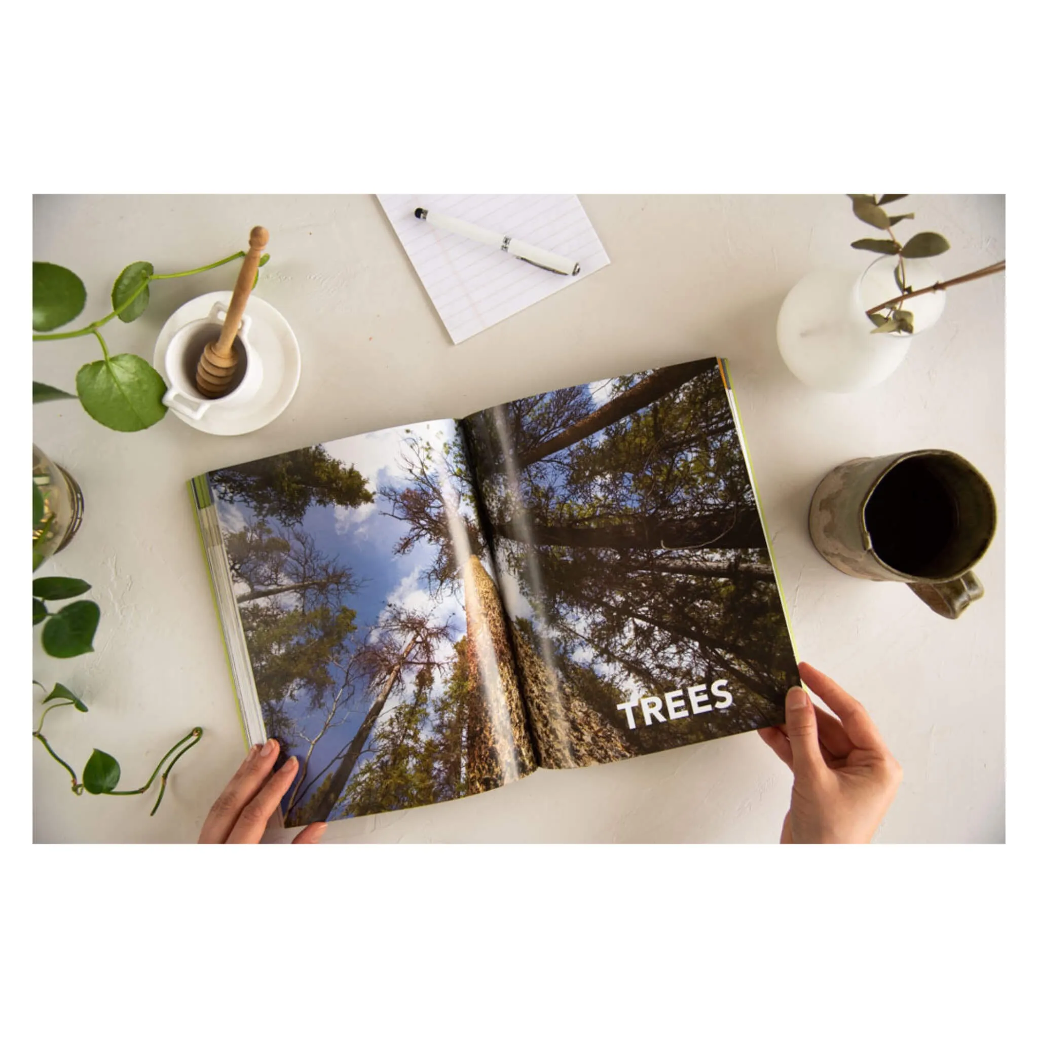 The Boreal Herbal