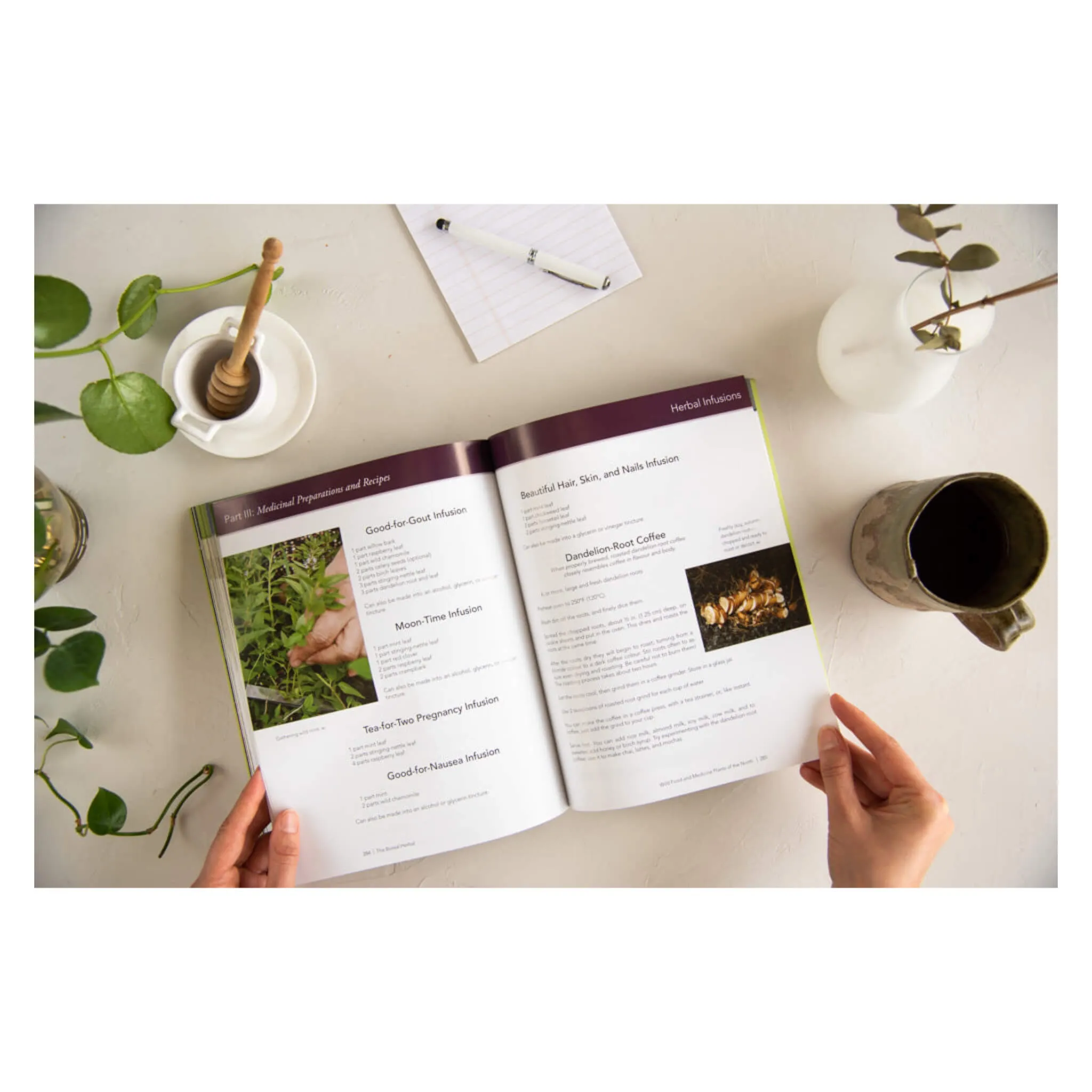 The Boreal Herbal
