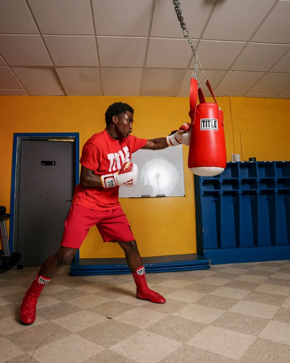 TITLE Boxing Accuracy Heavy Bag