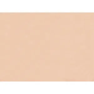 Tovagliette 100% Ricilato 31 x 43 cm - 500 pezzi
